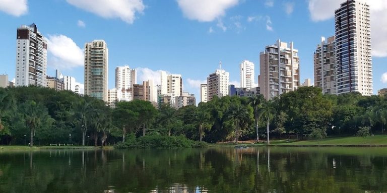 goiania a capital do pequi veja tudo sobre a cidade